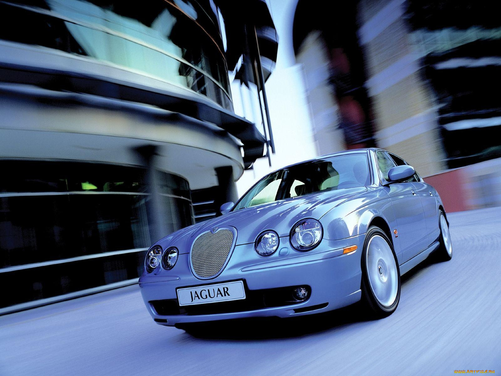 , jaguar